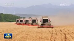 我国粮食产量初次迈上14万亿斤新台