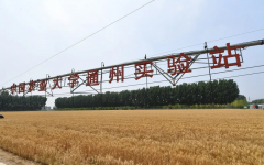 冬地寒水冷冬气始水饺一碗麦喷鼻至