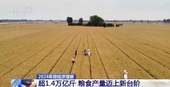 2024年终察看丨本年我食产量初次冲破14万亿斤
