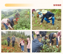 <b>湖南省茶业协会援帮帮扶灾区帮力郴州资兴受灾</b>